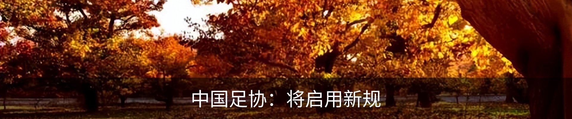 新闻动态